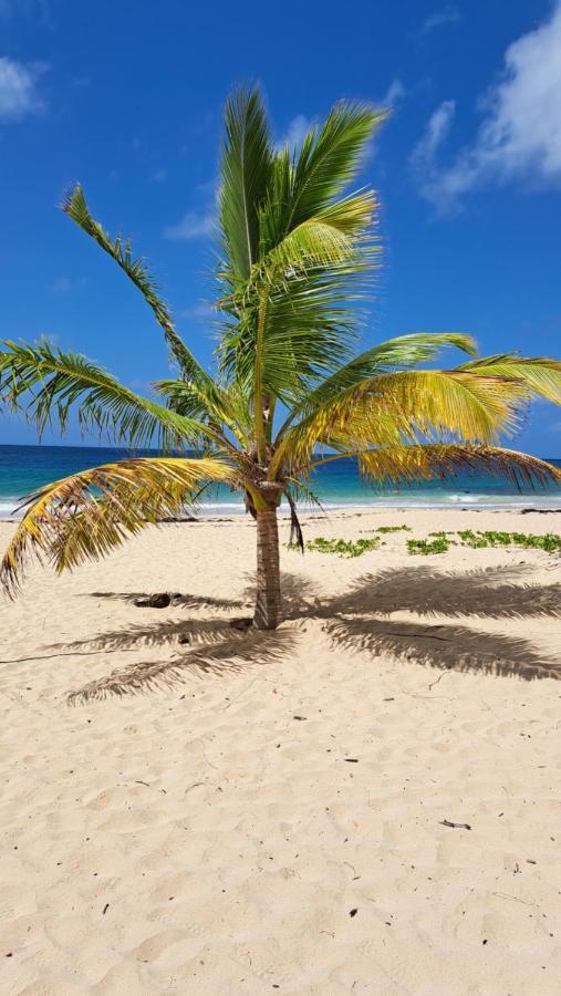 סנטה-אנה Studio Plage De L'Anse Caritan מראה חיצוני תמונה