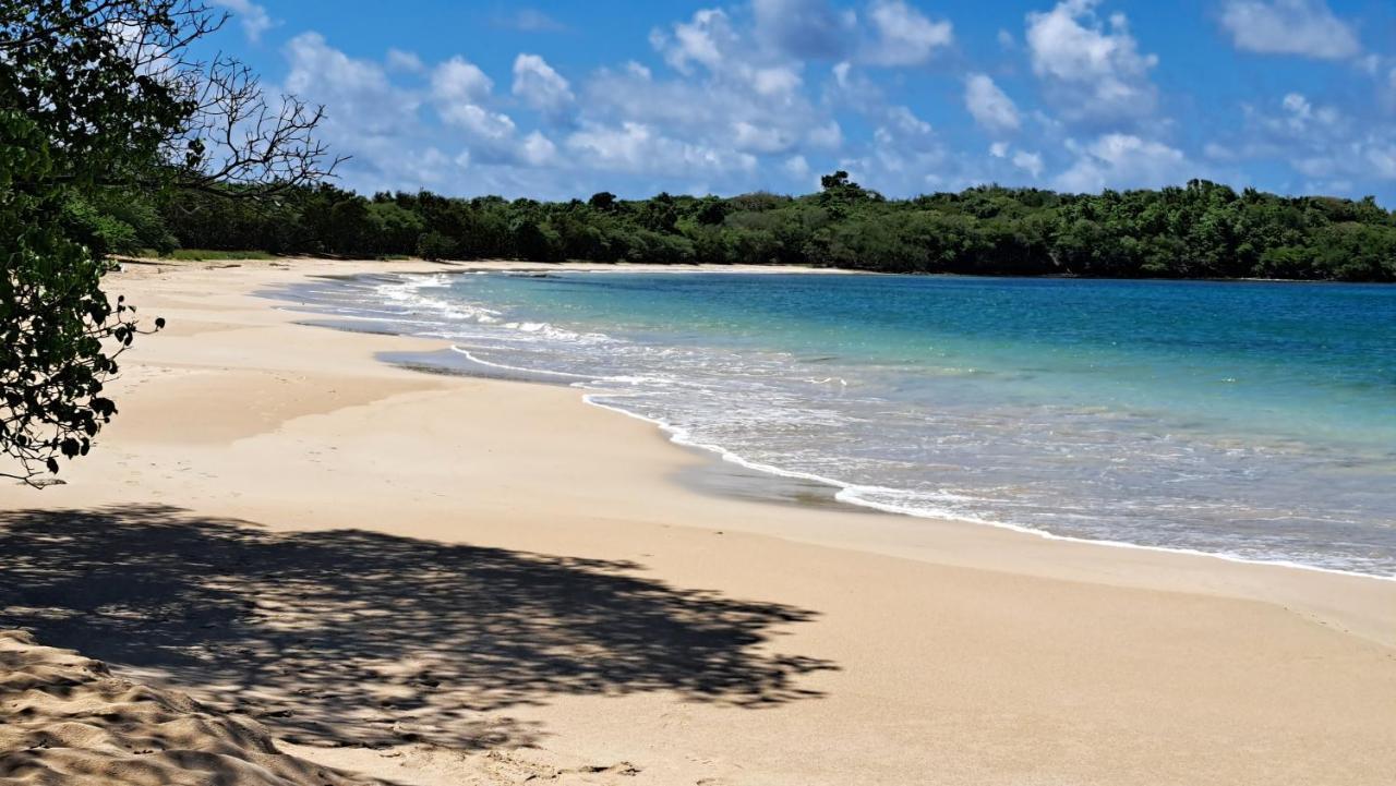 סנטה-אנה Studio Plage De L'Anse Caritan מראה חיצוני תמונה